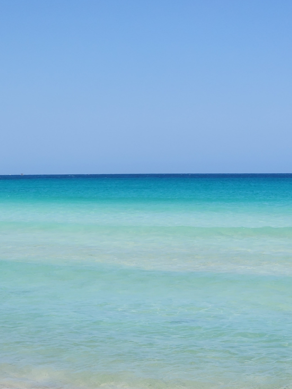 Meet your Posher, Kristin